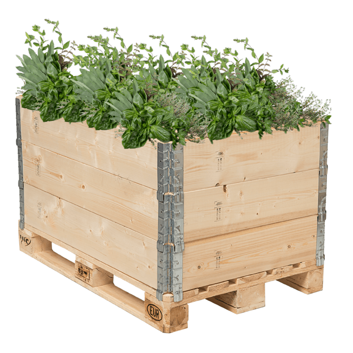 Palettenrahmen Hochbeet