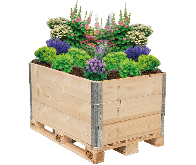 Hochbeet Palettenrahmen