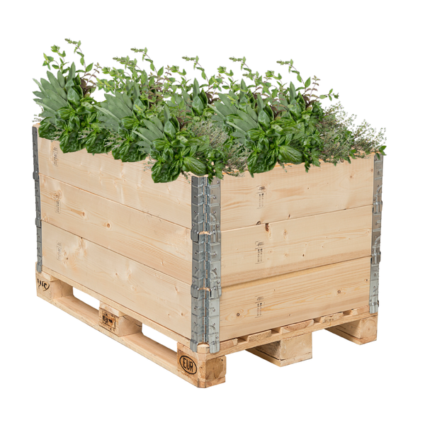 Hochbeet Palettenrahmen